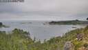 ./images/calvert/foggy-cove/20260906/foggy-cove20260906_095501M.jpg