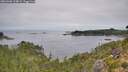 ./images/calvert/foggy-cove/20260906/foggy-cove20260906_104002M.jpg
