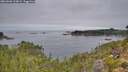 ./images/calvert/foggy-cove/20260906/foggy-cove20260906_110001M.jpg