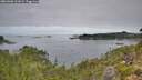./images/calvert/foggy-cove/20260906/foggy-cove20260906_112001M.jpg