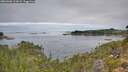 ./images/calvert/foggy-cove/20260906/foggy-cove20260906_113001M.jpg