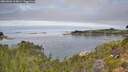 ./images/calvert/foggy-cove/20260906/foggy-cove20260906_114001M.jpg