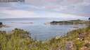 ./images/calvert/foggy-cove/20260906/foggy-cove20260906_115501M.jpg
