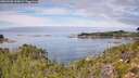 ./images/calvert/foggy-cove/20260906/foggy-cove20260906_120002M.jpg