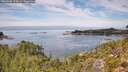 ./images/calvert/foggy-cove/20260906/foggy-cove20260906_124002M.jpg