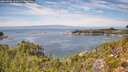 ./images/calvert/foggy-cove/20260906/foggy-cove20260906_131001M.jpg