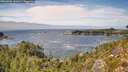 ./images/calvert/foggy-cove/20260906/foggy-cove20260906_141001M.jpg