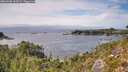 ./images/calvert/foggy-cove/20260906/foggy-cove20260906_144502M.jpg