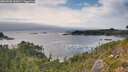 ./images/calvert/foggy-cove/20260906/foggy-cove20260906_161001M.jpg