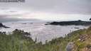 ./images/calvert/foggy-cove/20260906/foggy-cove20260906_175502M.jpg