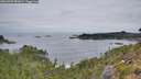 ./images/calvert/foggy-cove/20260907/foggy-cove20260907_081001M.jpg