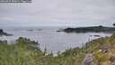 ./images/calvert/foggy-cove/20260907/foggy-cove20260907_083001M.jpg