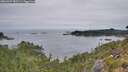 ./images/calvert/foggy-cove/20260907/foggy-cove20260907_083501M.jpg