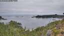 ./images/calvert/foggy-cove/20260907/foggy-cove20260907_084501M.jpg
