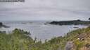./images/calvert/foggy-cove/20260907/foggy-cove20260907_091001M.jpg