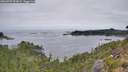 ./images/calvert/foggy-cove/20260907/foggy-cove20260907_093001M.jpg