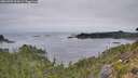 ./images/calvert/foggy-cove/20260907/foggy-cove20260907_094501M.jpg