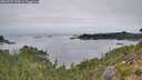 ./images/calvert/foggy-cove/20260907/foggy-cove20260907_095001M.jpg