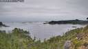 ./images/calvert/foggy-cove/20260907/foggy-cove20260907_095501M.jpg