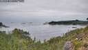 ./images/calvert/foggy-cove/20260907/foggy-cove20260907_100501M.jpg