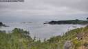 ./images/calvert/foggy-cove/20260907/foggy-cove20260907_101001M.jpg