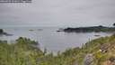 ./images/calvert/foggy-cove/20260907/foggy-cove20260907_111001M.jpg