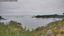 ./images/calvert/foggy-cove/20260907/foggy-cove20260907_114001M.jpg