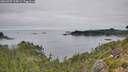 ./images/calvert/foggy-cove/20260907/foggy-cove20260907_115001M.jpg
