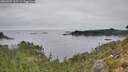 ./images/calvert/foggy-cove/20260907/foggy-cove20260907_115501M.jpg