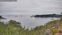 ./images/calvert/foggy-cove/20260907/foggy-cove20260907_120501M.jpg