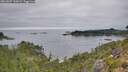 ./images/calvert/foggy-cove/20260907/foggy-cove20260907_135002M.jpg