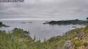 ./images/calvert/foggy-cove/20260907/foggy-cove20260907_140002M.jpg