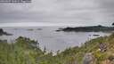 ./images/calvert/foggy-cove/20260907/foggy-cove20260907_142001M.jpg