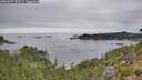 ./images/calvert/foggy-cove/20260907/foggy-cove20260907_142501M.jpg