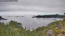 ./images/calvert/foggy-cove/20260907/foggy-cove20260907_143501M.jpg