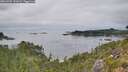 ./images/calvert/foggy-cove/20260907/foggy-cove20260907_151001M.jpg