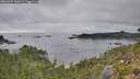 ./images/calvert/foggy-cove/20260907/foggy-cove20260907_160501M.jpg