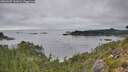 ./images/calvert/foggy-cove/20260907/foggy-cove20260907_161001M.jpg