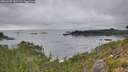 ./images/calvert/foggy-cove/20260907/foggy-cove20260907_161501M.jpg