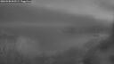 ./images/calvert/foggy-cove/20260908/foggy-cove20260908_062501M.jpg