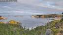 ./images/calvert/foggy-cove/20260908/foggy-cove20260908_074001M.jpg