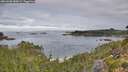 ./images/calvert/foggy-cove/20260908/foggy-cove20260908_080001M.jpg