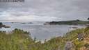 ./images/calvert/foggy-cove/20260908/foggy-cove20260908_083001M.jpg