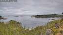./images/calvert/foggy-cove/20260908/foggy-cove20260908_084001M.jpg