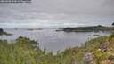 ./images/calvert/foggy-cove/20260908/foggy-cove20260908_093002M.jpg