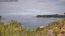 ./images/calvert/foggy-cove/20260908/foggy-cove20260908_114001M.jpg