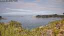 ./images/calvert/foggy-cove/20260908/foggy-cove20260908_115001M.jpg