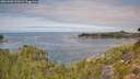 ./images/calvert/foggy-cove/20260908/foggy-cove20260908_123002M.jpg
