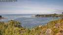 ./images/calvert/foggy-cove/20260908/foggy-cove20260908_132501M.jpg