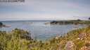 ./images/calvert/foggy-cove/20260908/foggy-cove20260908_135001M.jpg